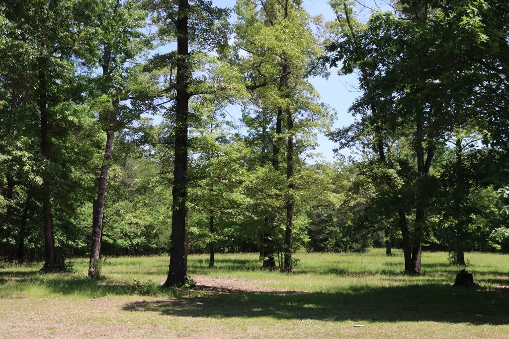 260 Asal Road Farmville, VA 23901 - Photo 32 of 34 Gallery Image 32