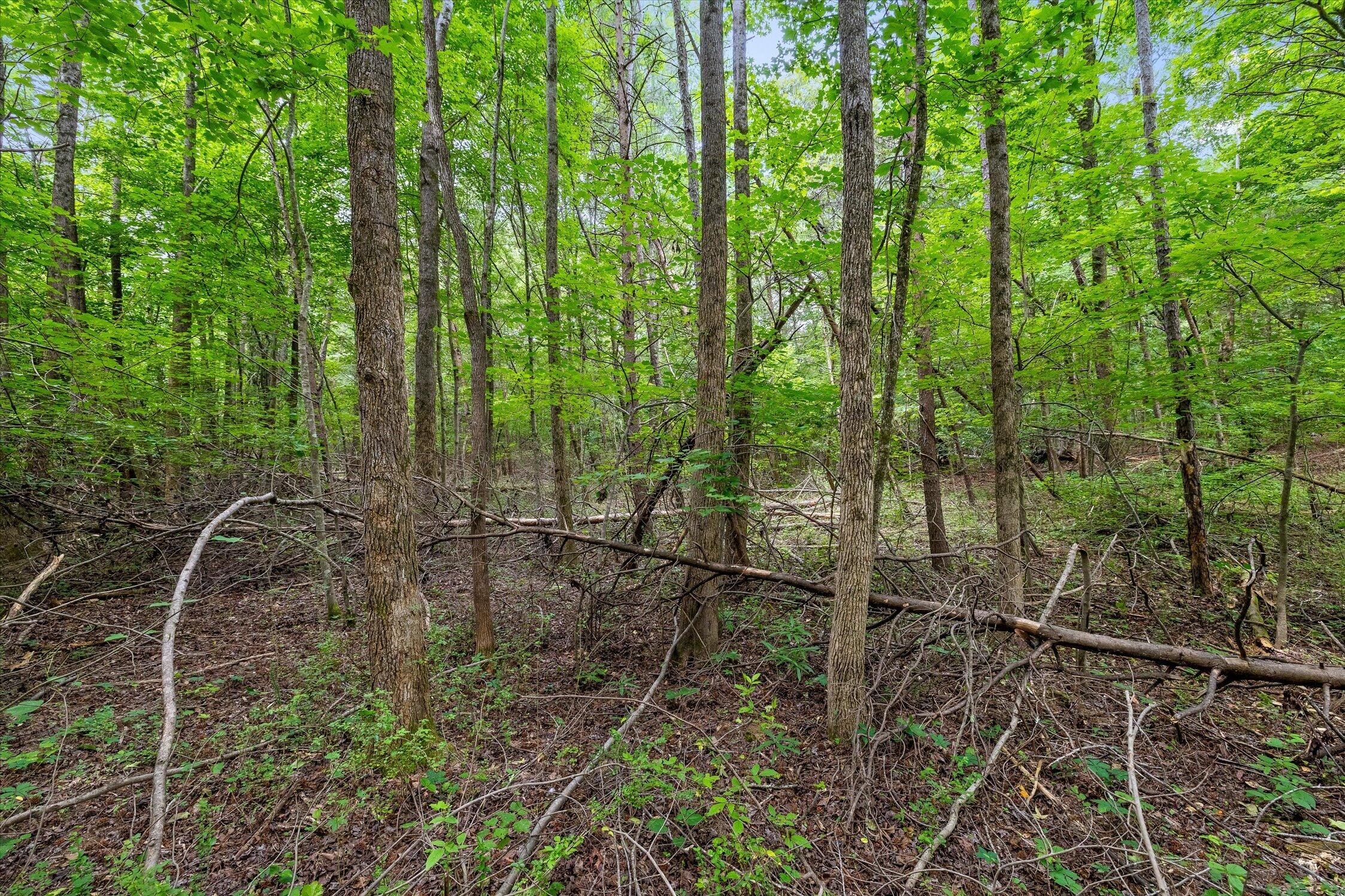 1906 Spradling Road Soddy-Daisy, TN 37379 - Photo 9 of 27 10-1906 Spradling-7