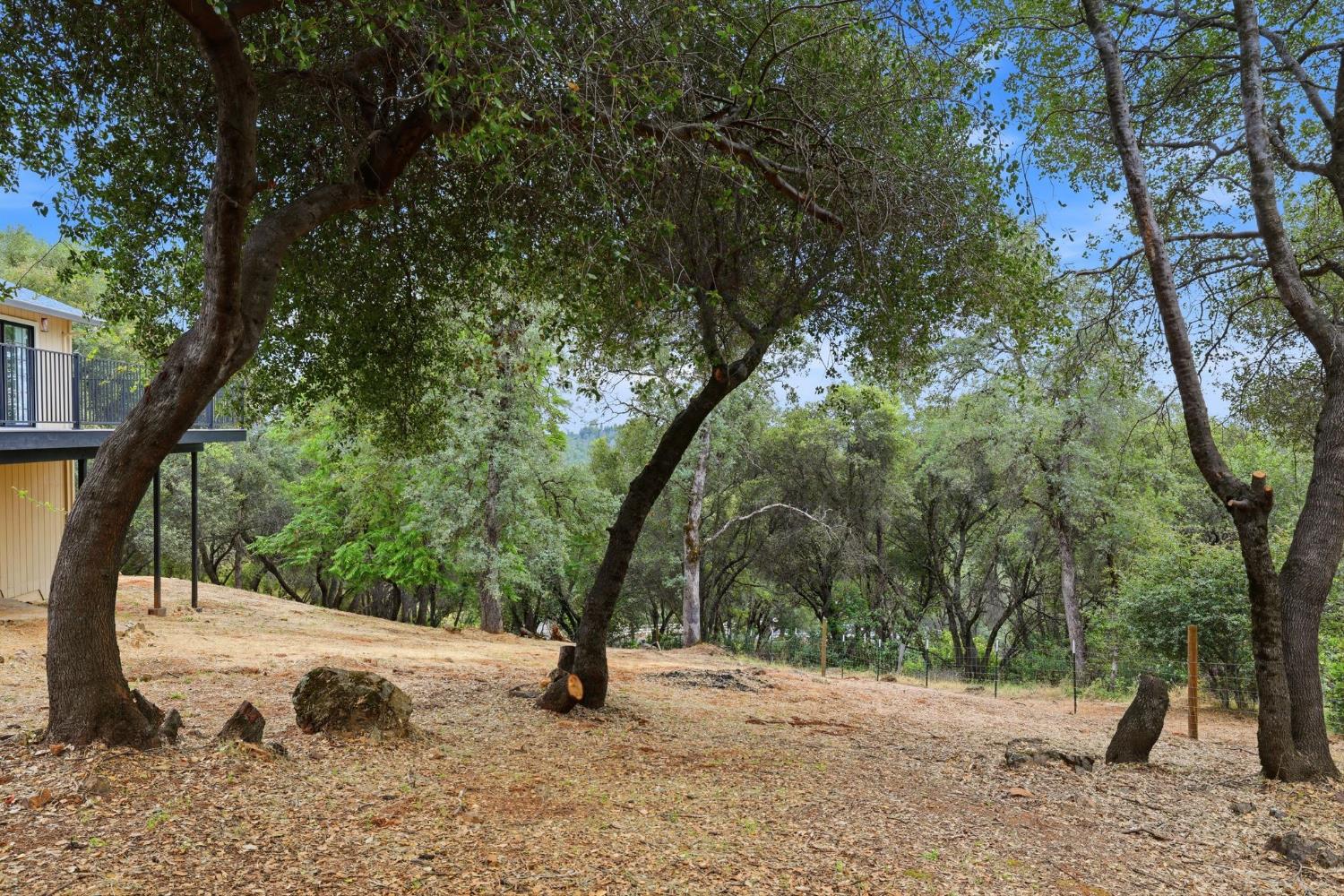 3427 Excalibar Road Placerville, CA 95667 - Photo 53 of 69