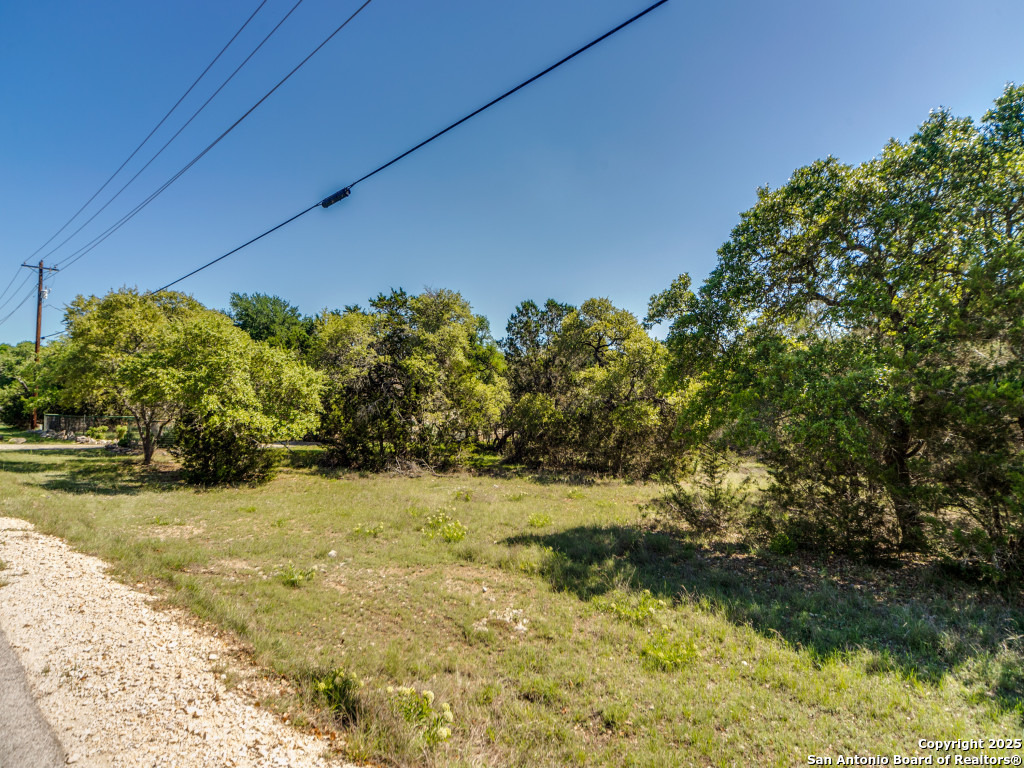5190 Spring Branch Road Spring Branch, TX 78070 - Photo 2 of 27
