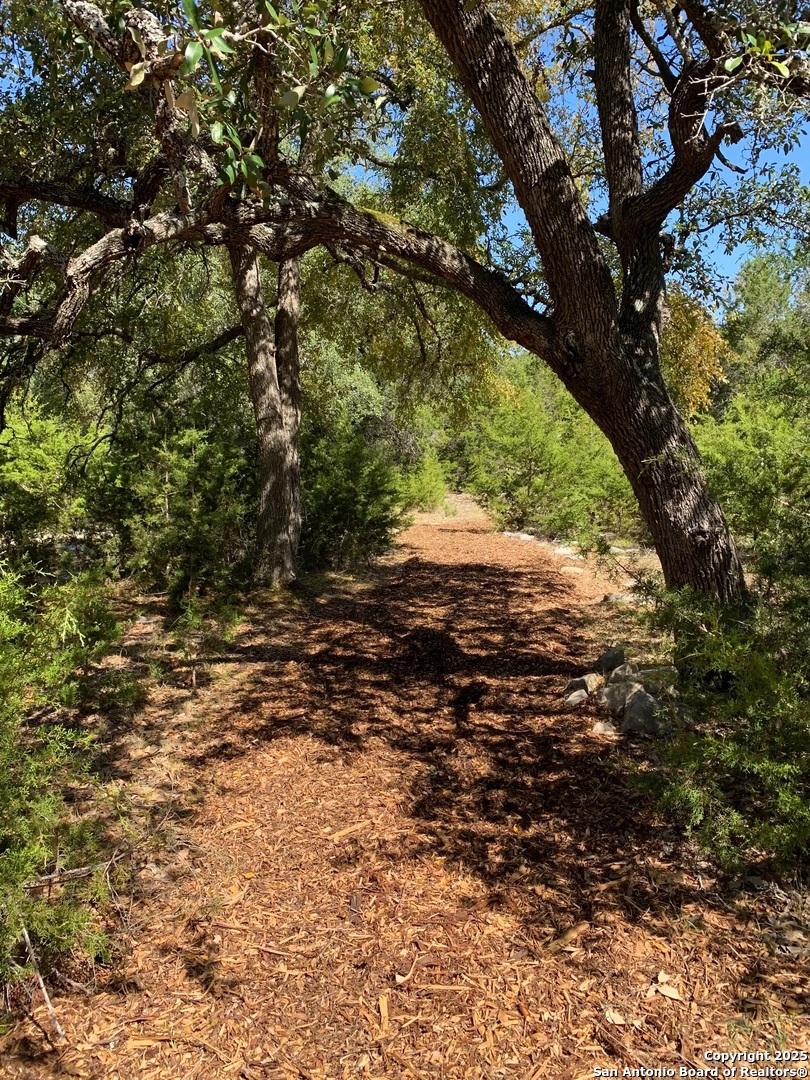 5190 Spring Branch Road Spring Branch, TX 78070 - Photo 24 of 27