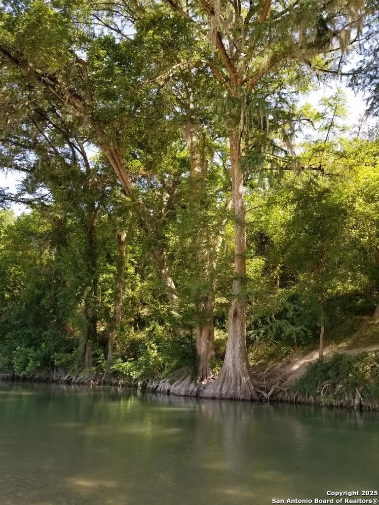 5190 Spring Branch Road Spring Branch, TX 78070 - Photo 25 of 27