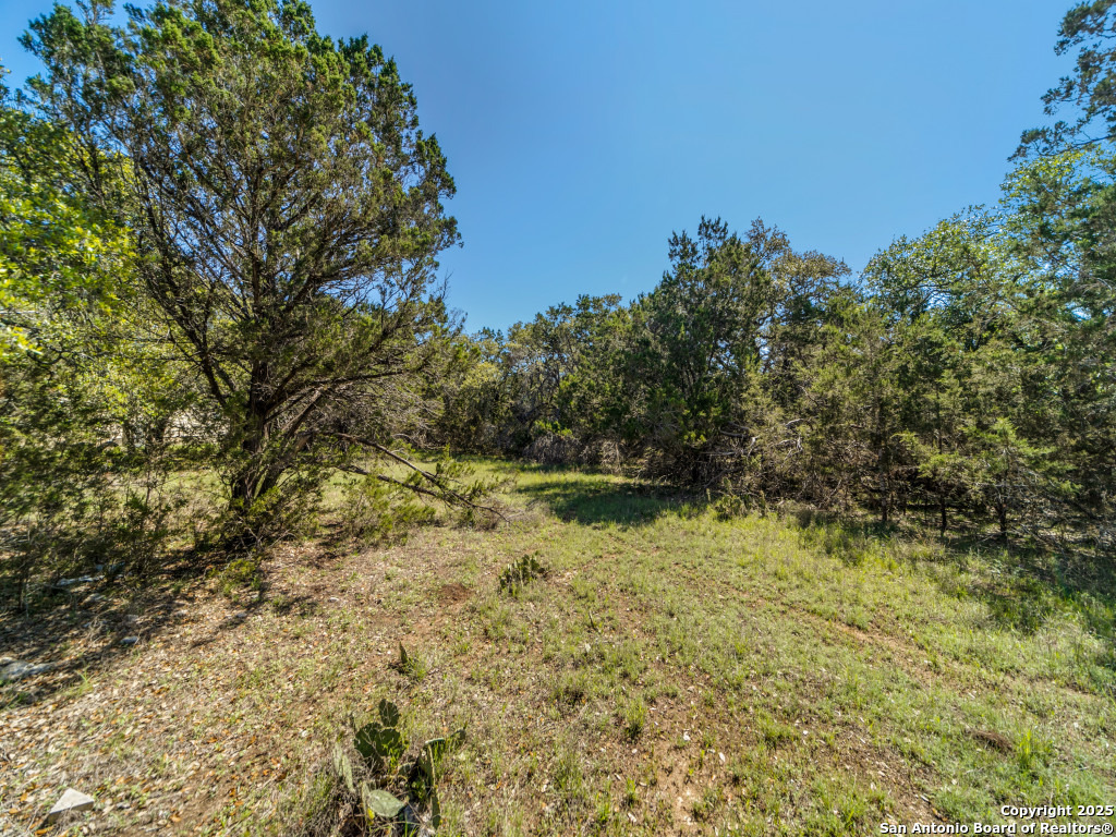 5190 Spring Branch Road Spring Branch, TX 78070 - Photo 4 of 27