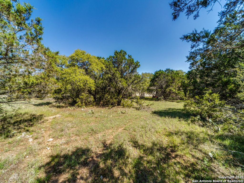 5190 Spring Branch Road Spring Branch, TX 78070 - Photo 5 of 27