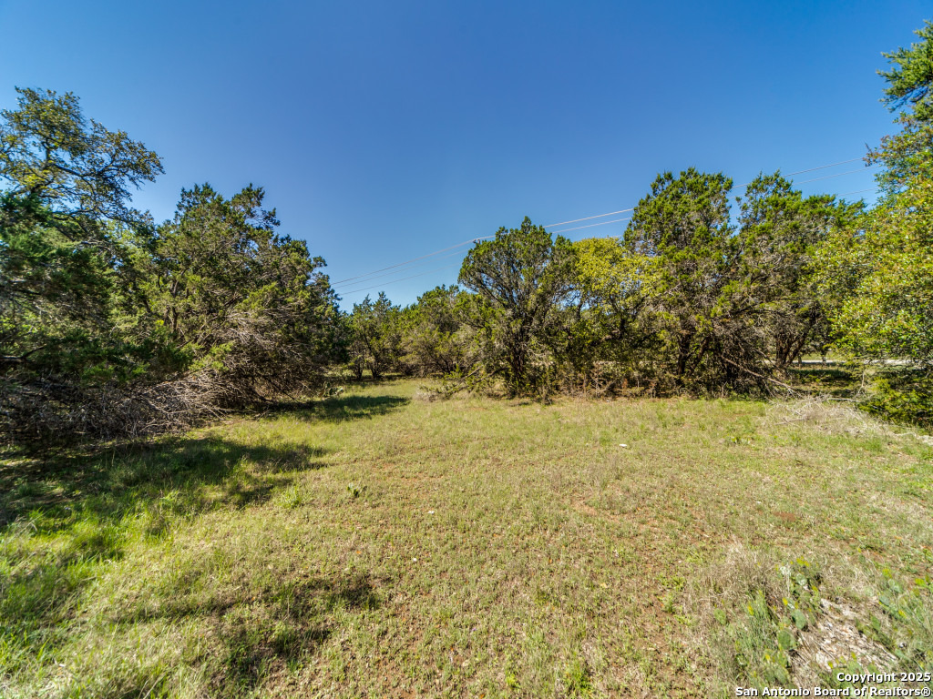 5190 Spring Branch Road Spring Branch, TX 78070 - Photo 6 of 27