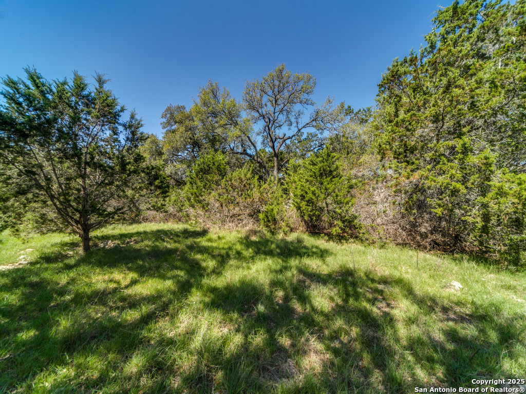 5190 Spring Branch Road Spring Branch, TX 78070 - Photo 7 of 27