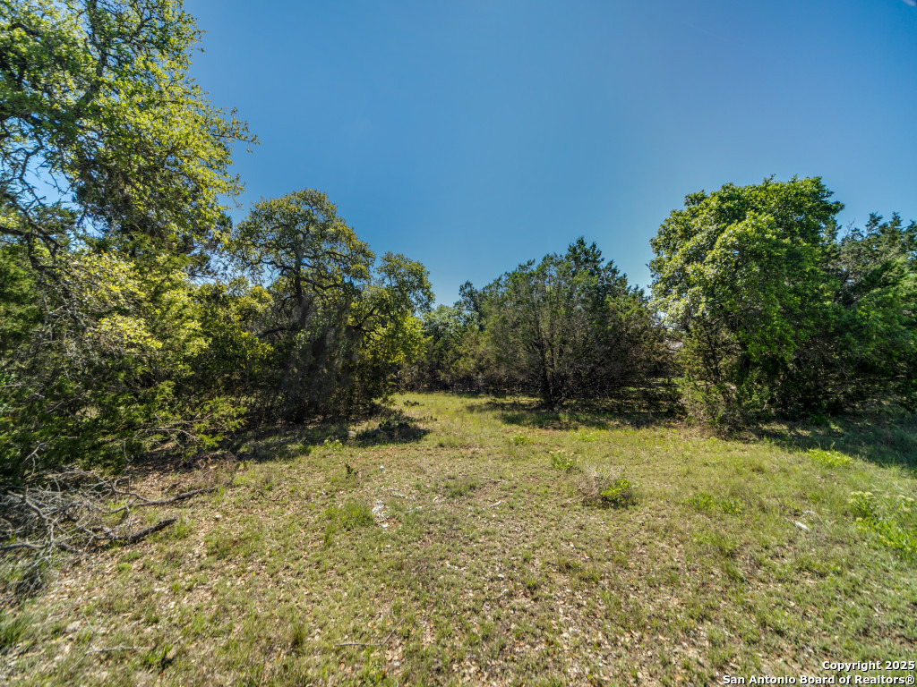 5190 Spring Branch Road Spring Branch, TX 78070 - Photo 8 of 27
