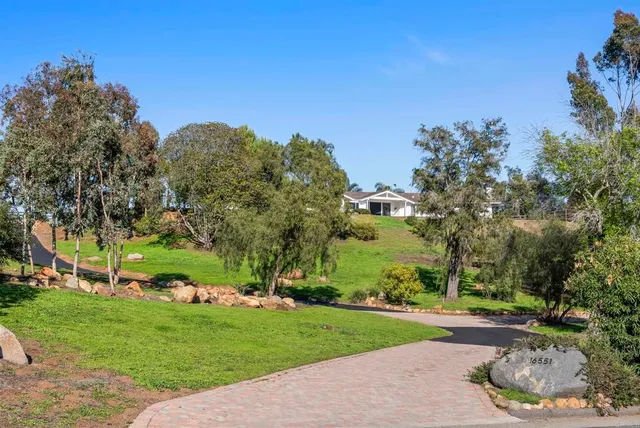 a view of a park with large trees