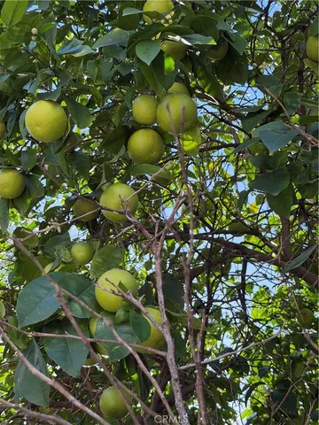 $4,500 | 2866 Treeview Place, Fullerton, CA 92835