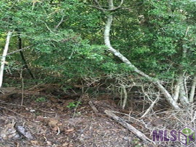 71.31 Catfish Farm Road Independence, LA 70443 - Photo 1 of 2 Gallery Image 1