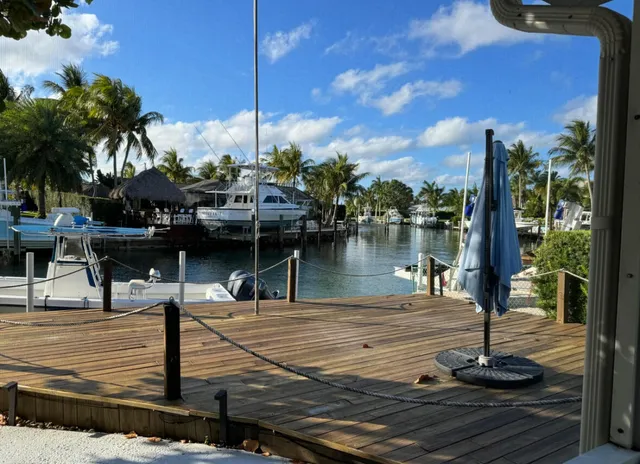 a lake view with palm trees