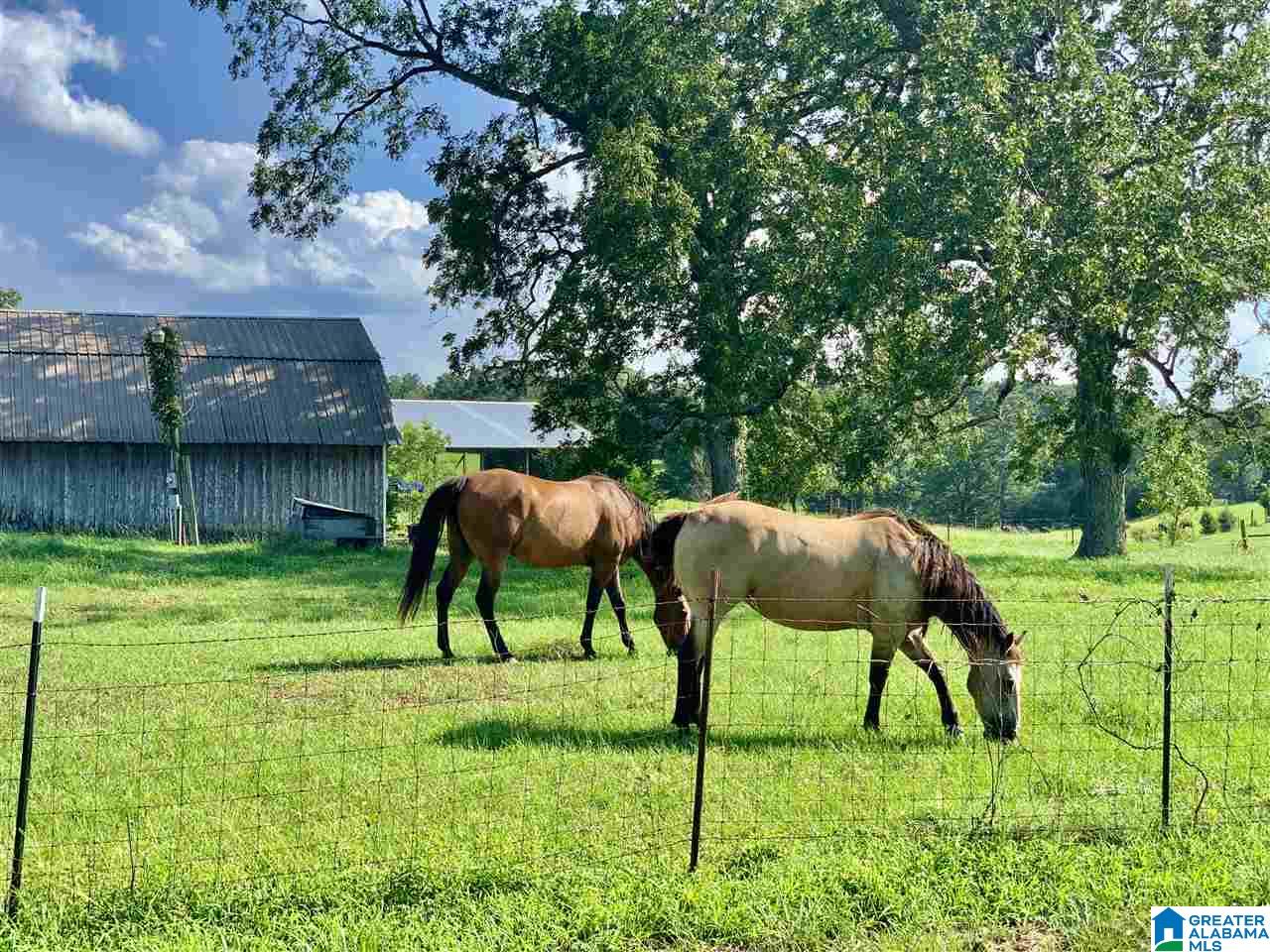 631 County Road 16 Clanton, AL 35045 - Photo 26 of 41