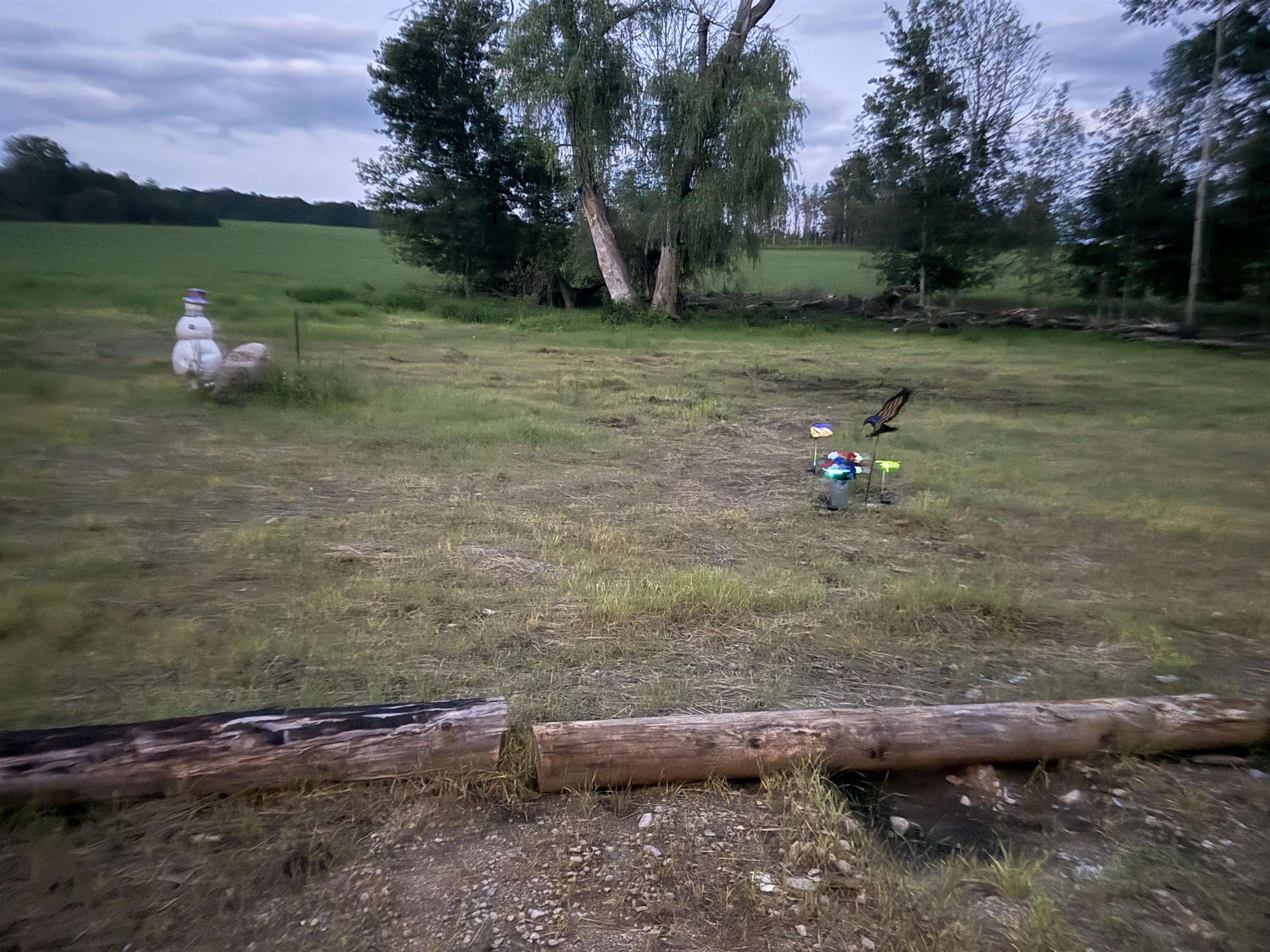 Badish Road Daggett, MI 49821 - Photo 1 of 1 Gallery Image 1