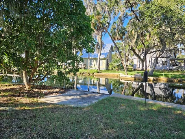 a view of backyard with table and chairs and a large tree