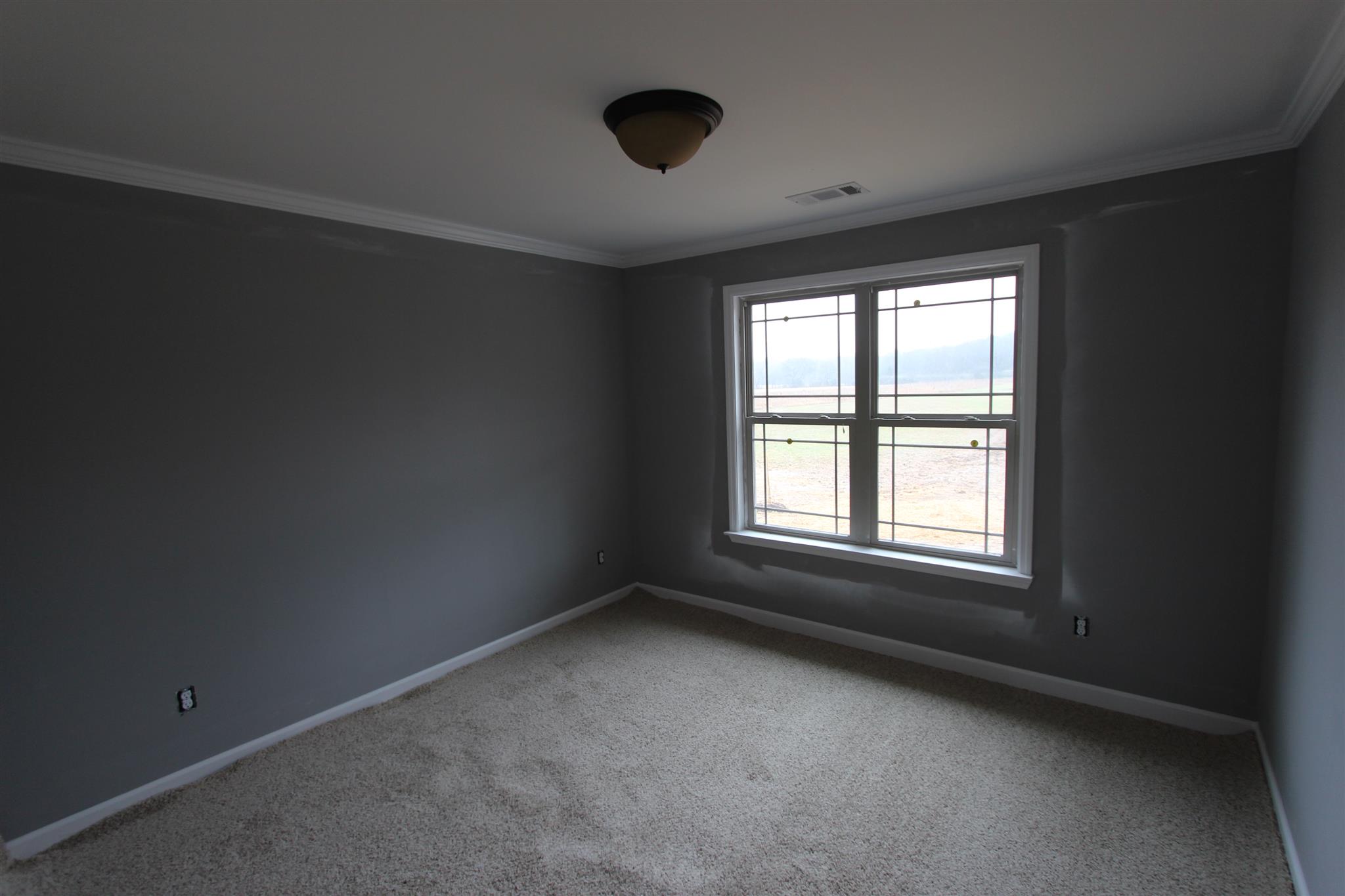 400 Beech Log Road Watertown, TN 37184 - Photo 15 of 22 an empty room with a window