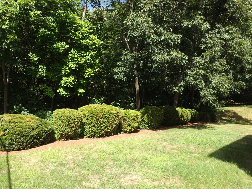 37 Old Brook Road Shrewsbury, MA 01545 - Photo 19 of 24 Gallery Image 19