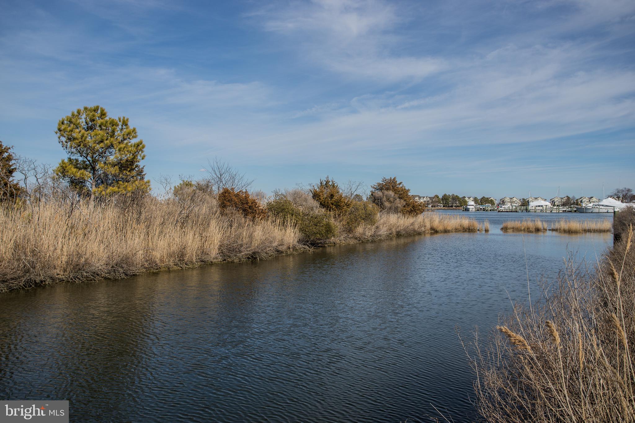 5 Piney Narrows Road Chester, MD 21619 - Photo 24 of 31 Park views
