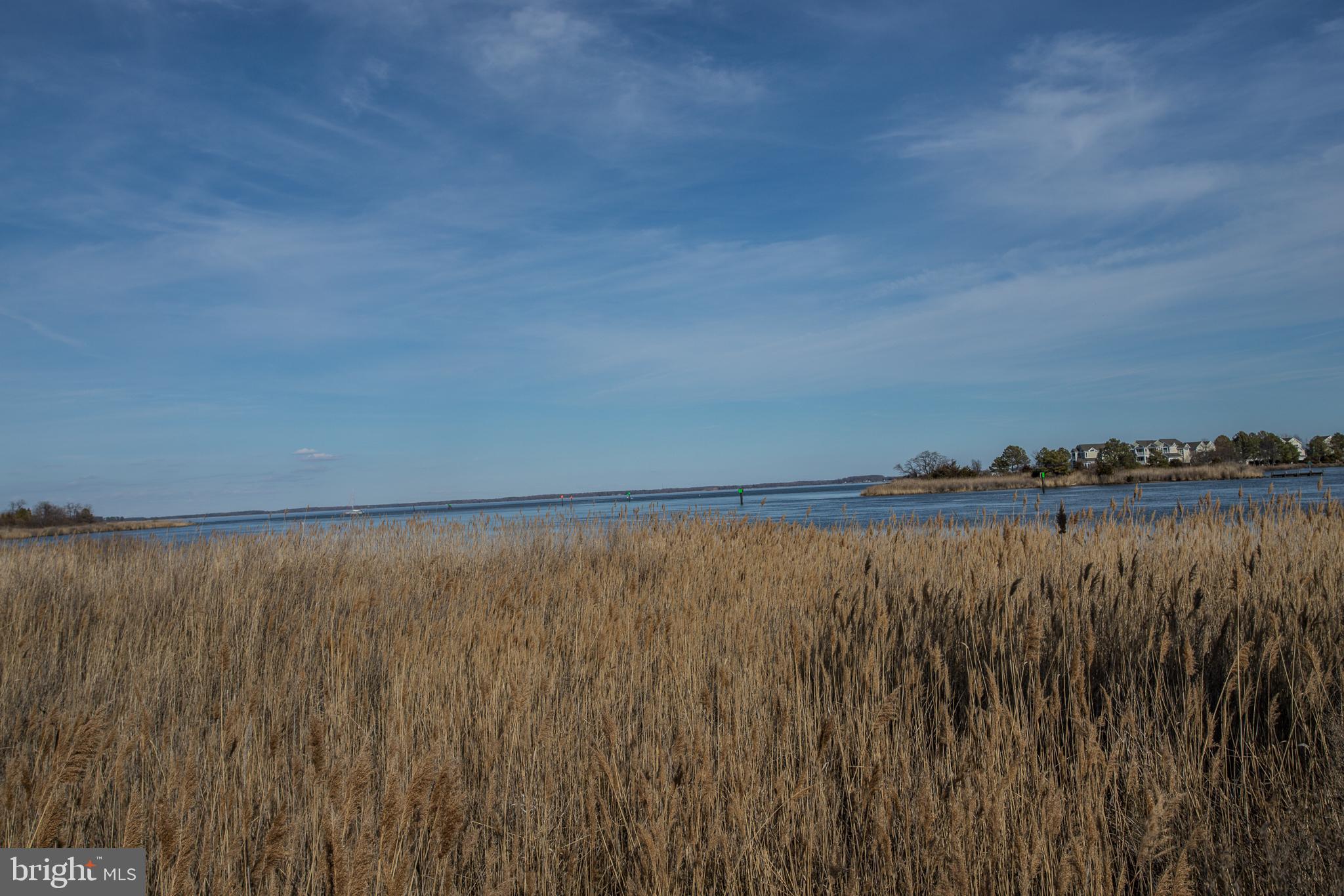 5 Piney Narrows Road Chester, MD 21619 - Photo 26 of 31 Park views