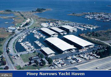 5 Piney Narrows Road Chester, MD 21619 - Photo 3 of 31 Aerial view of the marina