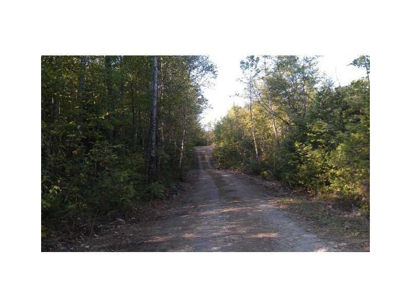 Lot 13 Ackley Pond Rd Mount Mount Chase, ME 04765 - Photo 2 of 5 Land/Lot.