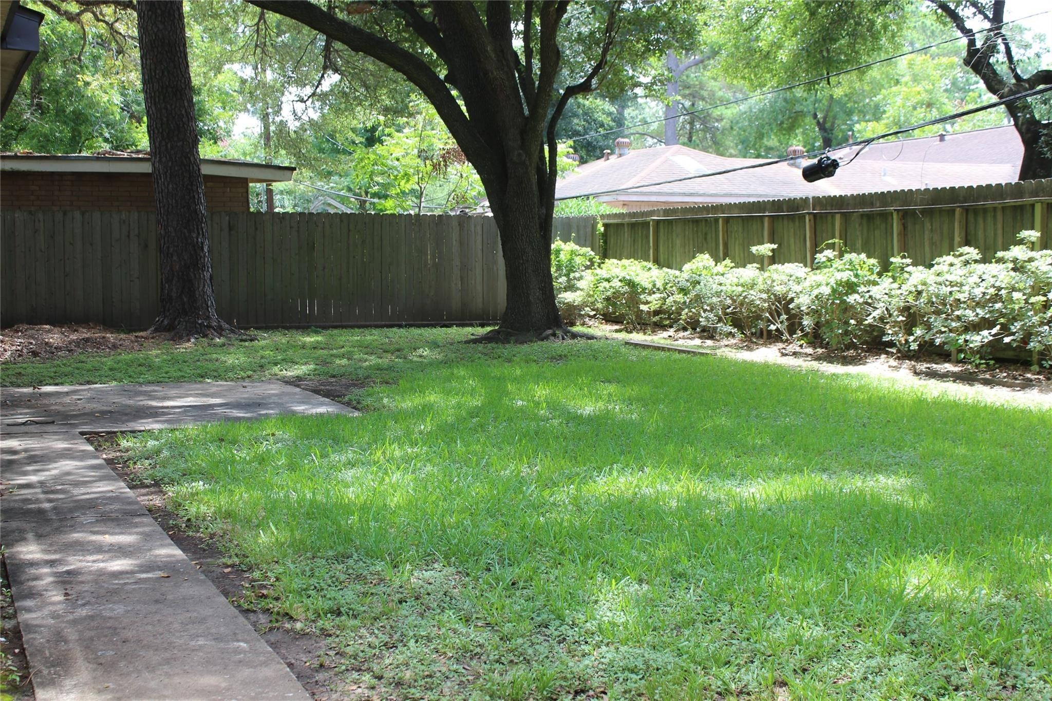 10301 Ivyridge Road Houston, TX 77043 - Photo 14 of 23 Backyard with large trees