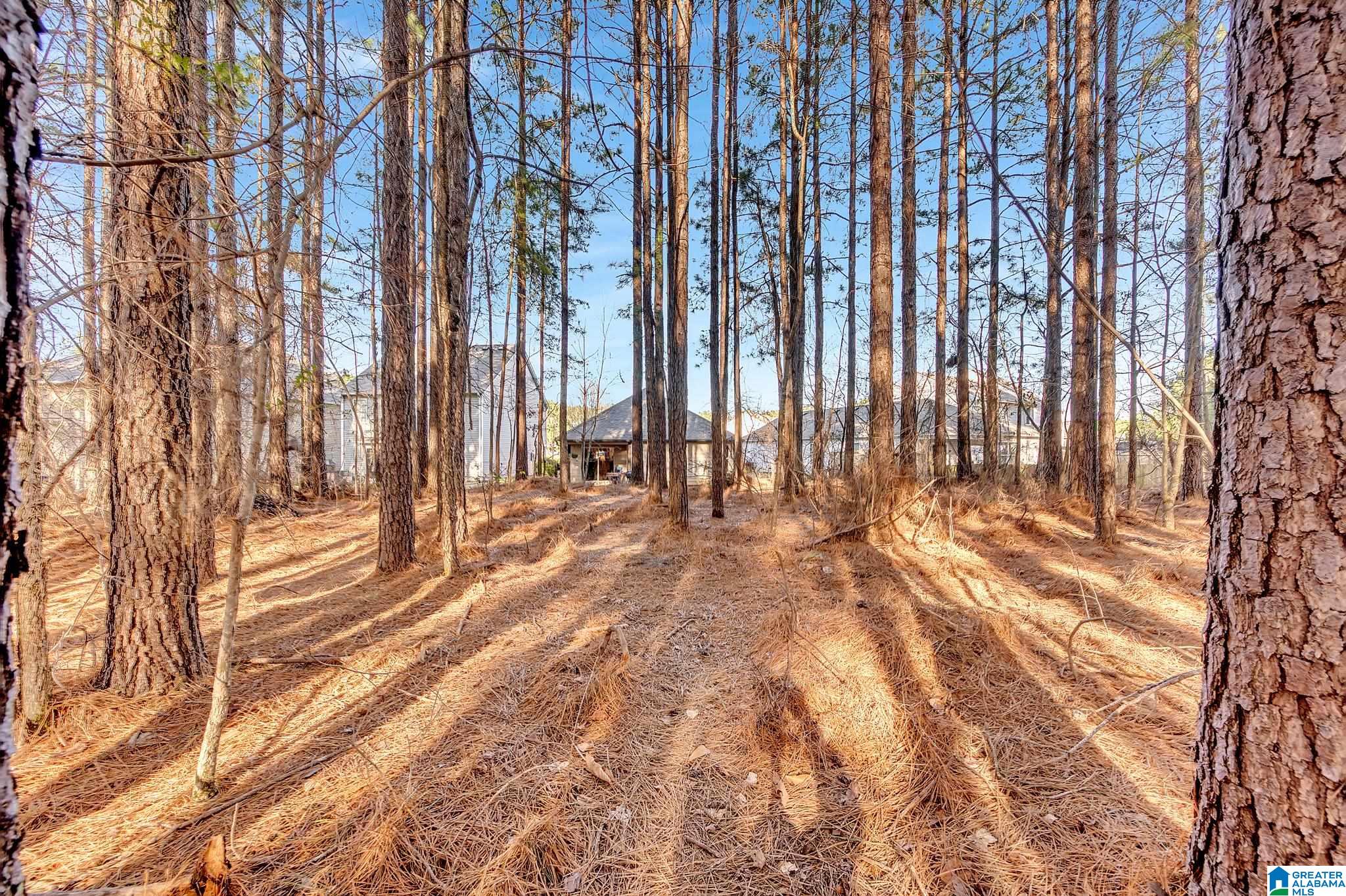321 Reed Way Kimberly, AL 35091 - Photo 27 of 27