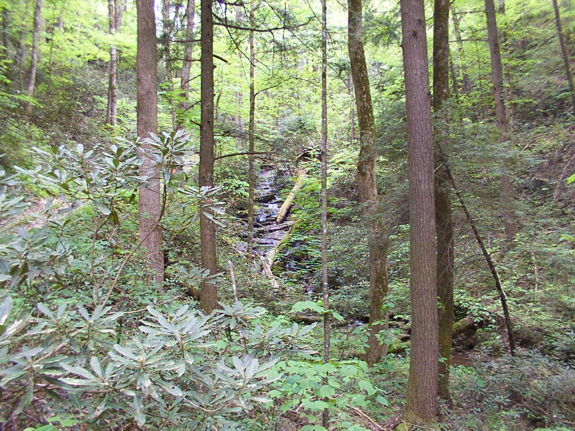 4629 Whetstone Road Sevierville, TN 37862 - Photo 10 of 10 4629_Whetstone_110