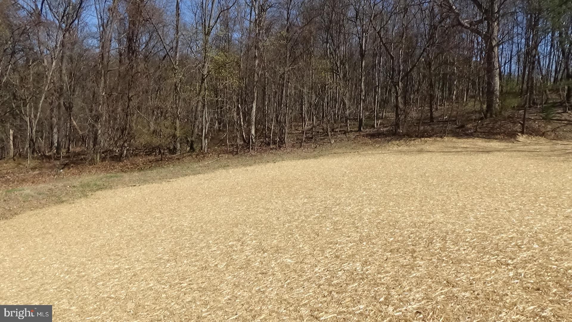 70 Barrick Hill Road Shermans Dale, PA 17090 - Photo 18 of 24