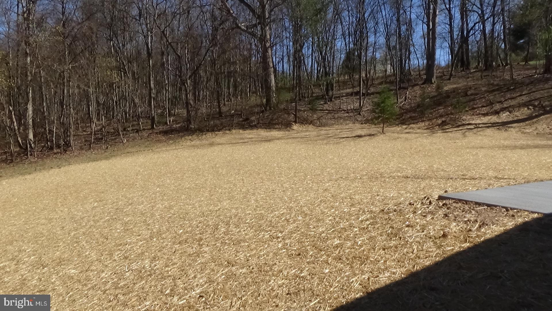 70 Barrick Hill Road Shermans Dale, PA 17090 - Photo 19 of 24