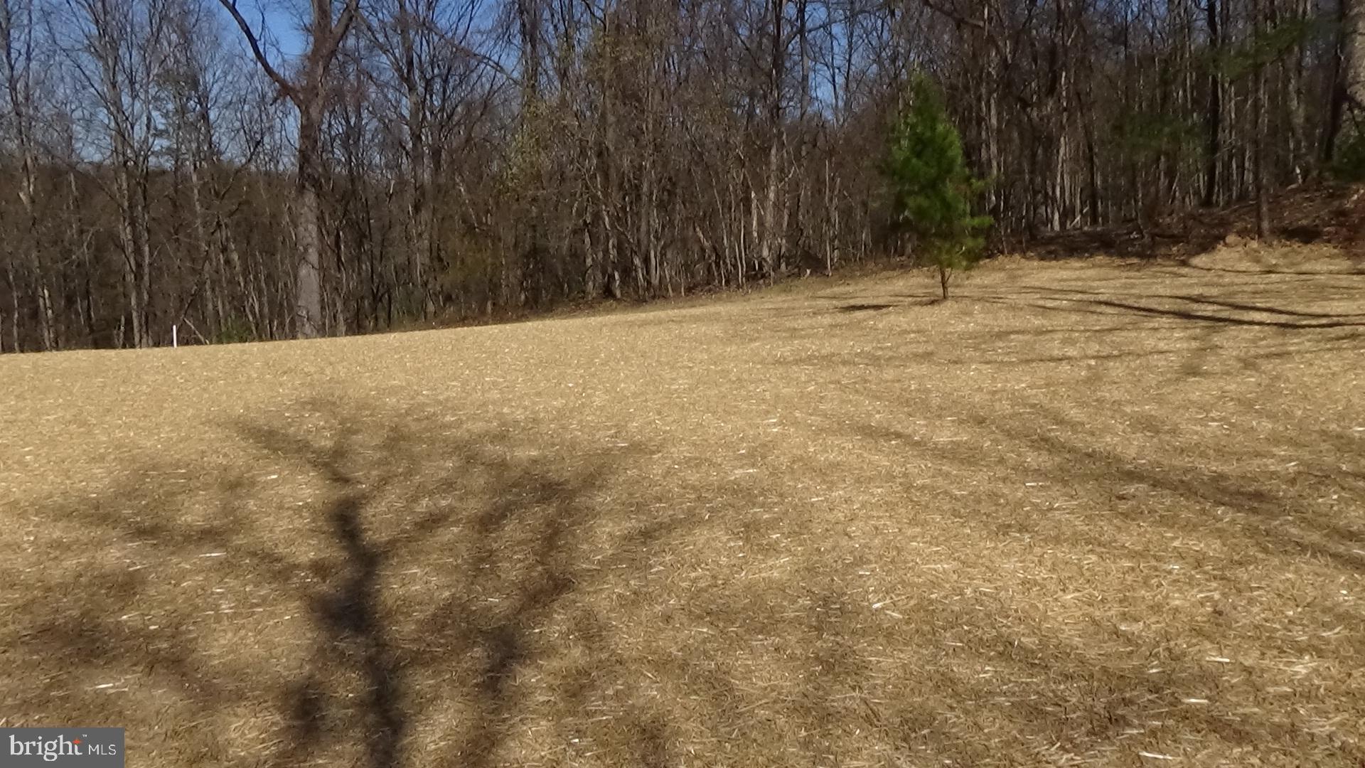 70 Barrick Hill Road Shermans Dale, PA 17090 - Photo 21 of 24