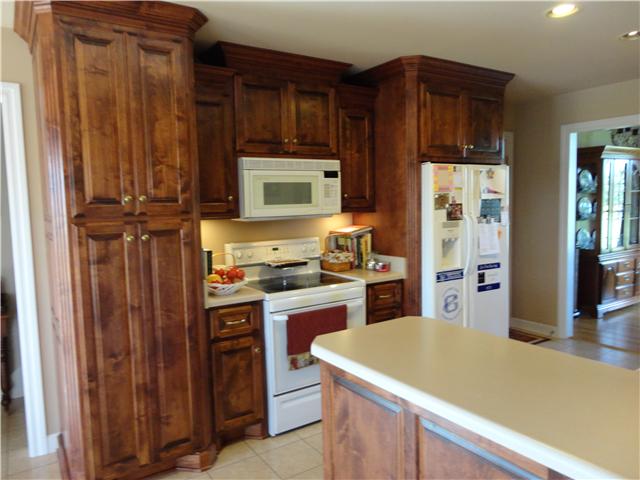 6153 Lakeview Road Springfield, TN 37172 - Photo 6 of 16 Another view of kitchen showing built-in pantry and appliances.