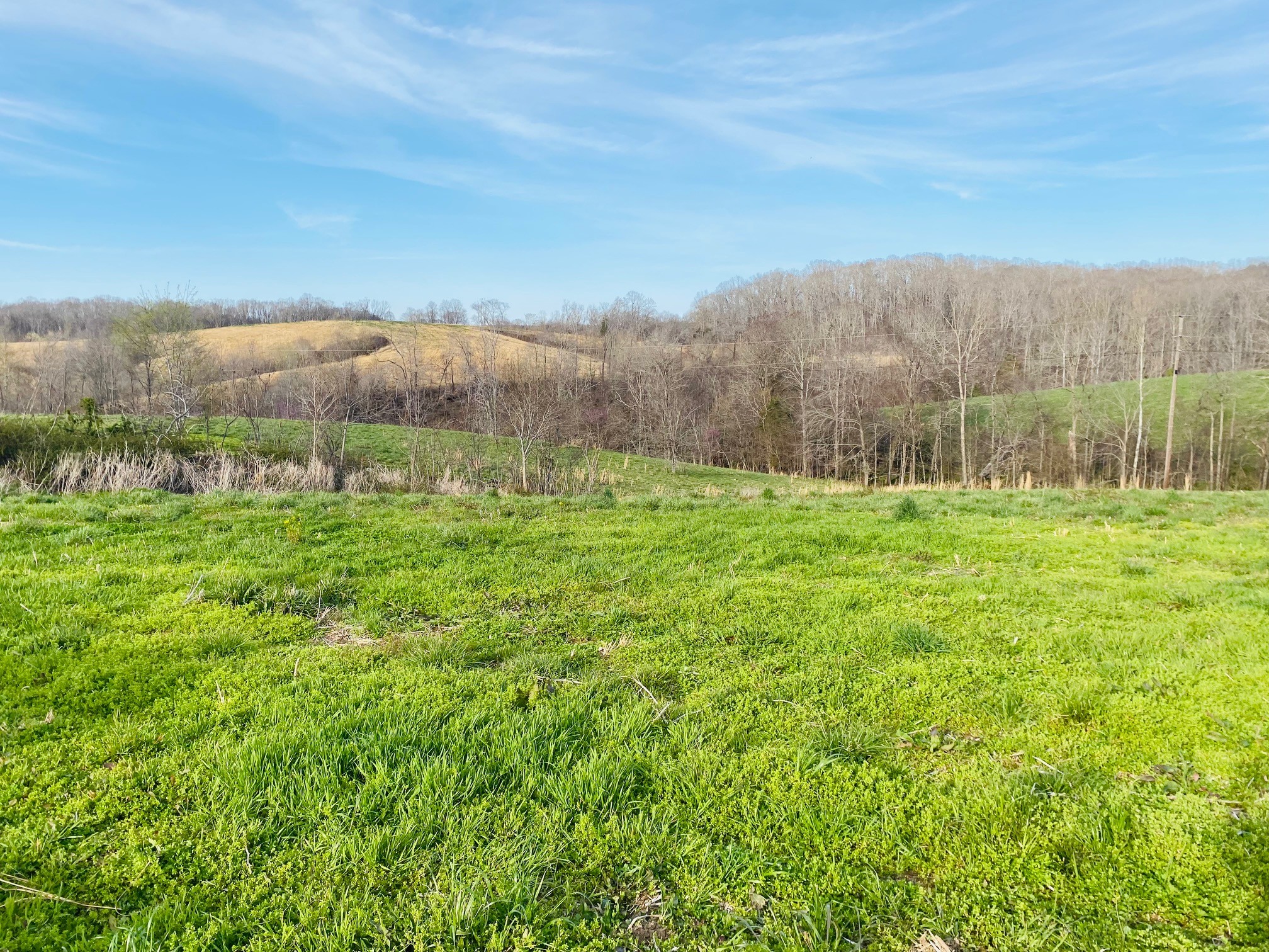 0 Steed Road Waverly, TN 37185 - Photo 5 of 19 Gallery Image 5