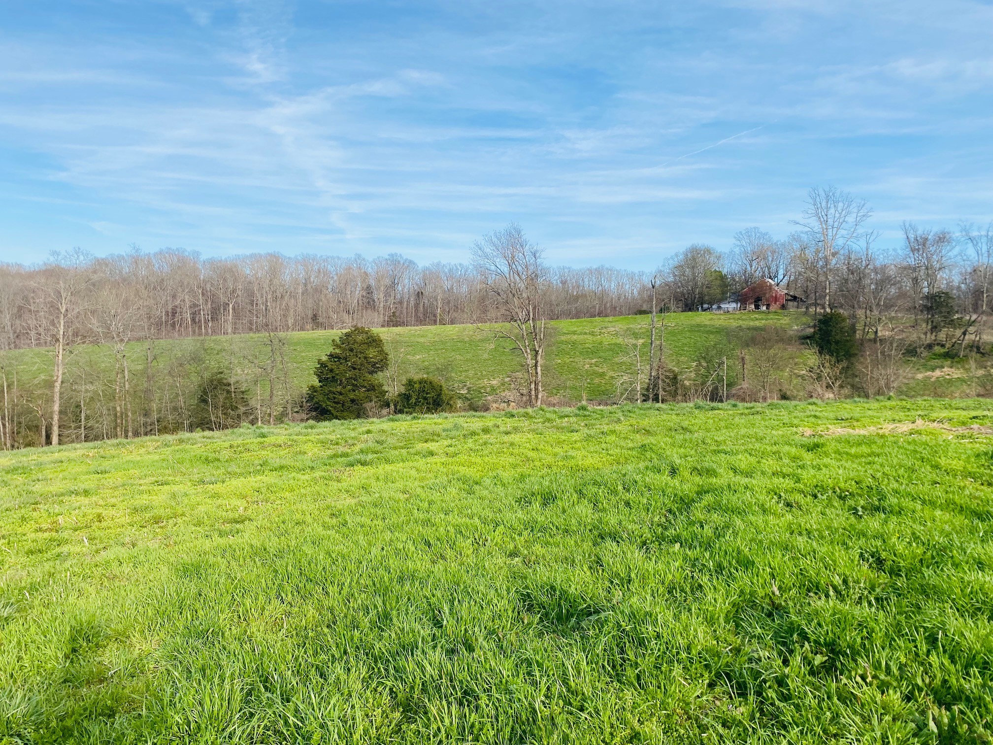 0 Steed Road Waverly, TN 37185 - Photo 8 of 19 Gallery Image 8