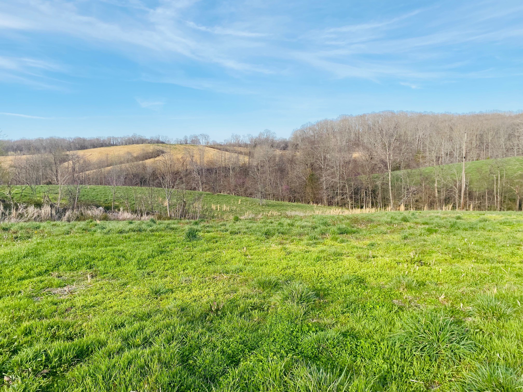 0 Steed Road Waverly, TN 37185 - Photo 10 of 19 Gallery Image 10