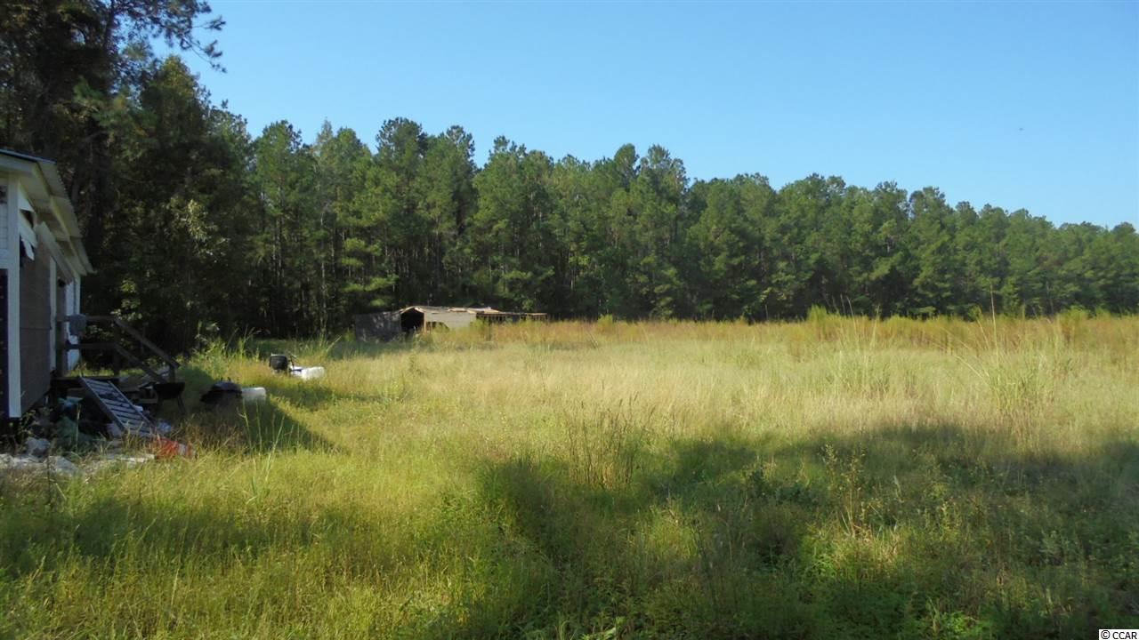 965 Hemingway Highway Hemingway, SC 29554 - Photo 13 of 18 Gallery Image 13
