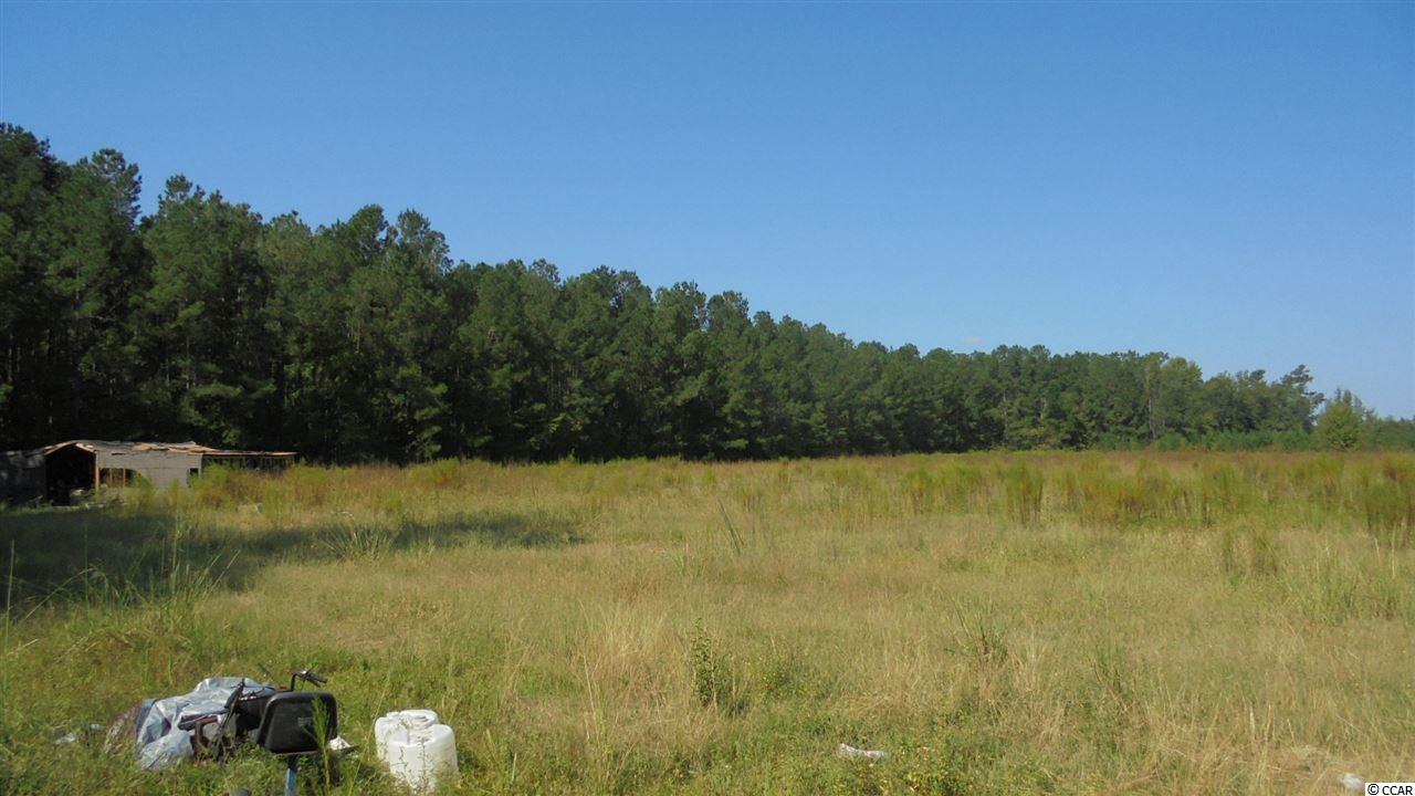 965 Hemingway Highway Hemingway, SC 29554 - Photo 14 of 18 Gallery Image 14