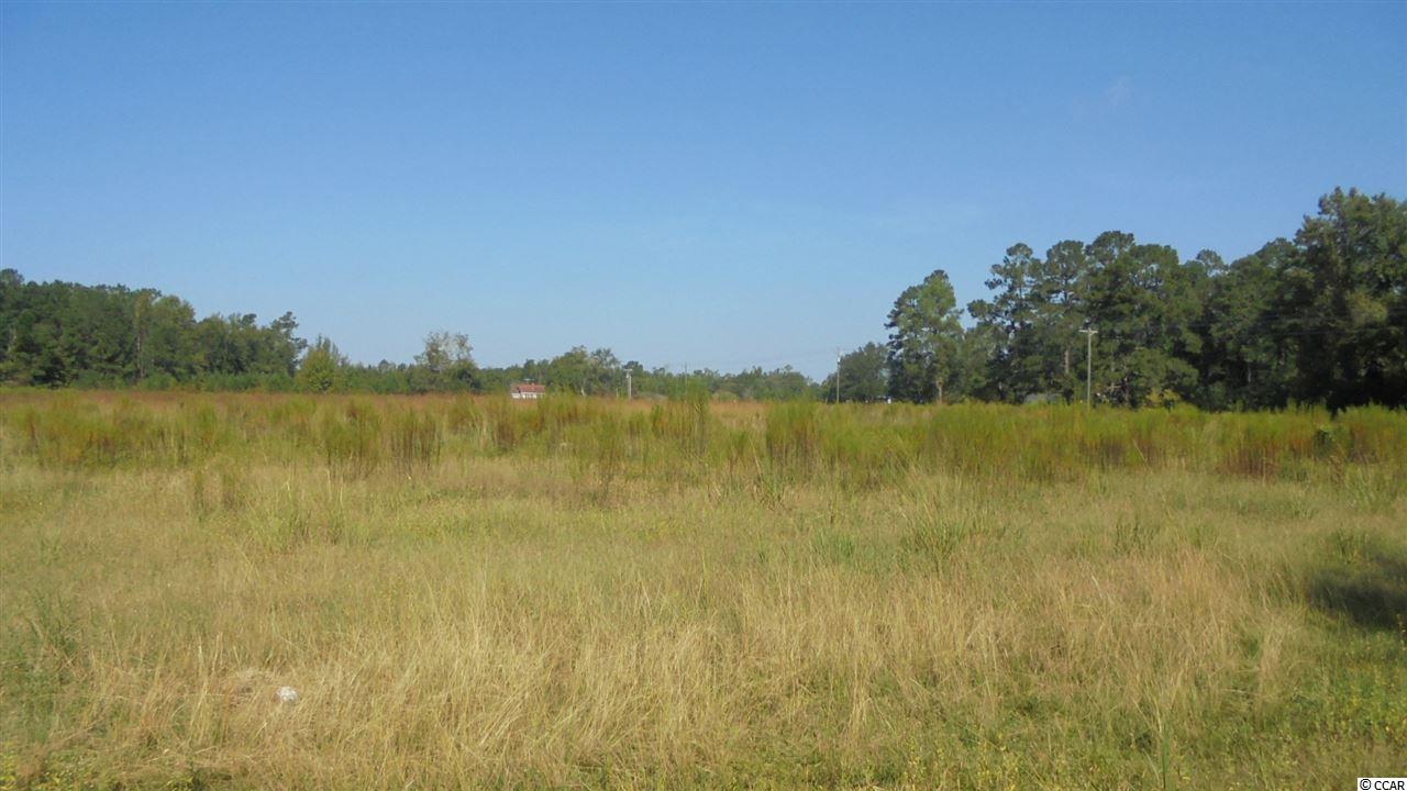 965 Hemingway Highway Hemingway, SC 29554 - Photo 15 of 18 Gallery Image 15