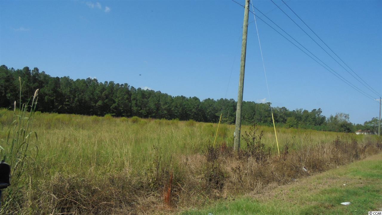 965 Hemingway Highway Hemingway, SC 29554 - Photo 18 of 18 Gallery Image 18