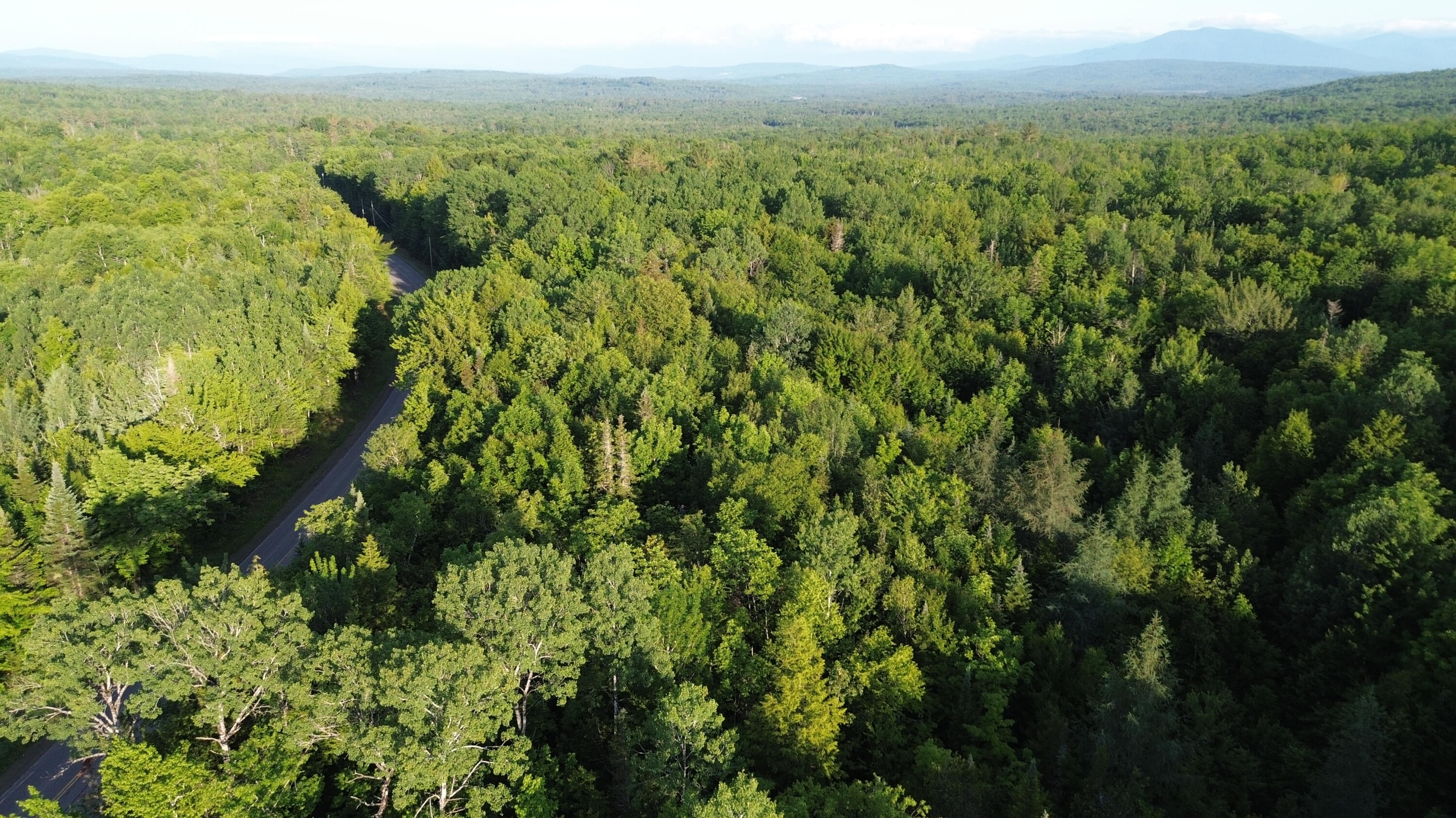 24a Anson Valley Road New Vineyard, ME 04956 - Photo 81 of 93 DJI_0095