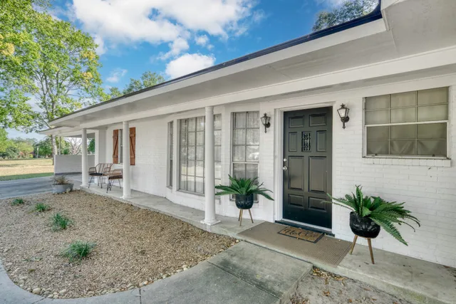 a potted plant sitting in front of a house with potted plants