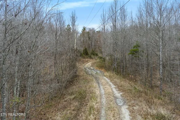 $20,000 | 0 Cordell Mountain, Winfield, TN 37892