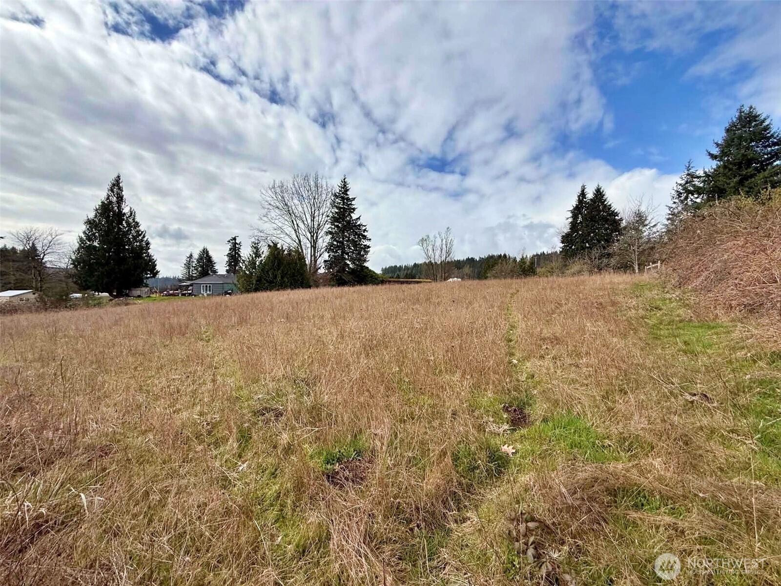 141 Filbert Road Silver Creek, WA 98585 - Photo 30 of 33