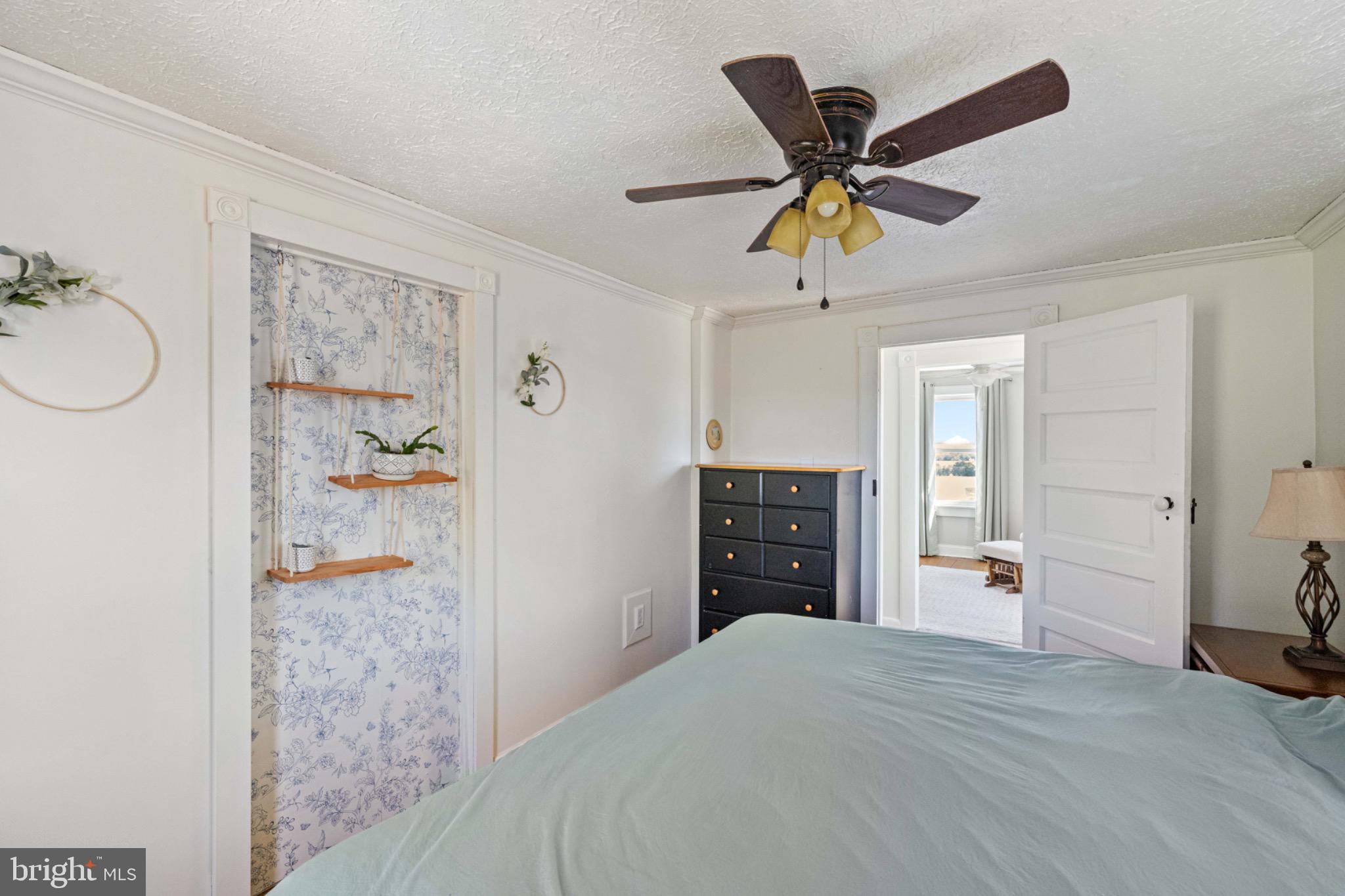 67 Lodge Hall Road Mount Jackson, VA 22842 - Photo 24 of 39