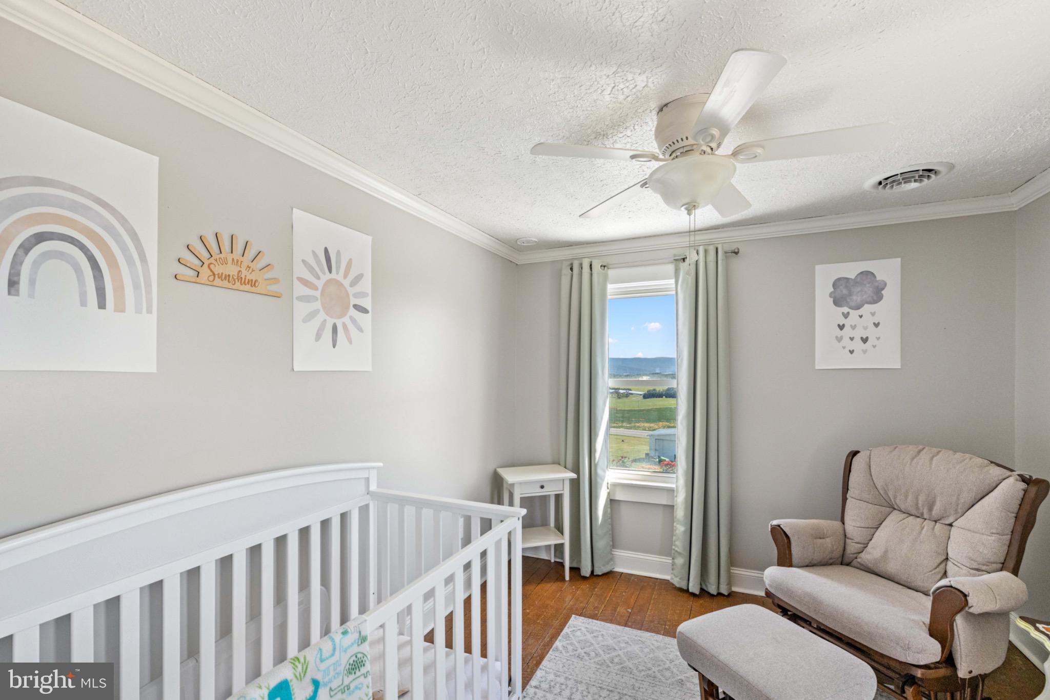 67 Lodge Hall Road Mount Jackson, VA 22842 - Photo 25 of 39