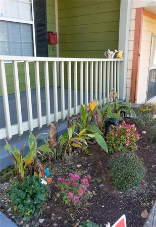 a view of room and window