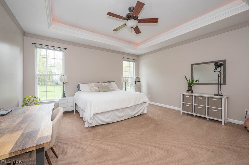 6787 South Palmyra Road Canfield, OH 44406 - Photo 13 of 30 Spacious room featuring a tray ceiling with recessed lighting, ceiling fan, and carpet flooring
