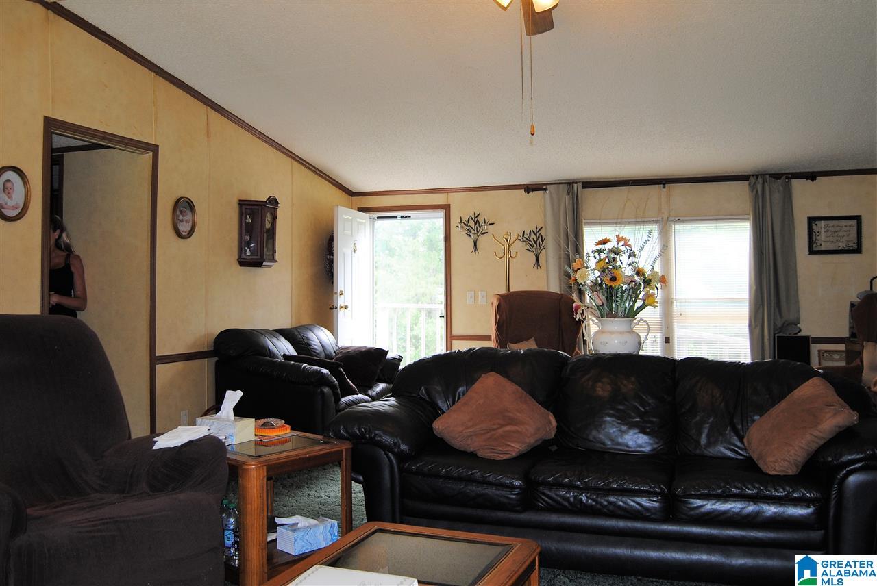 3628 Spunky Hollow Road Remlap, AL 35133 - Photo 25 of 29