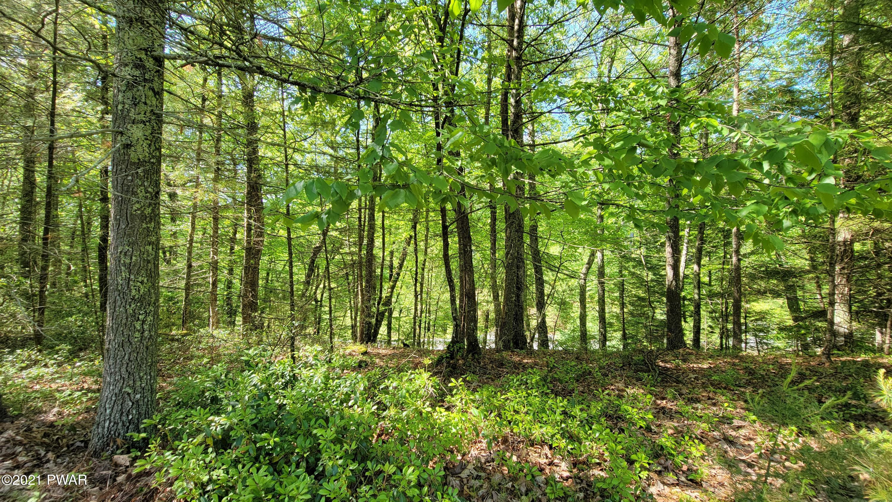 Lot 4 Steges Road Eldred, NY 12732 - Photo 3 of 5 20210531_160348