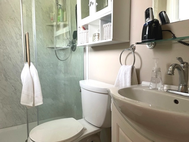 6118 Meyer Road Marengo, IL 60152 - Photo 15 of 42 a bathroom with a sink a toilet and a mirror