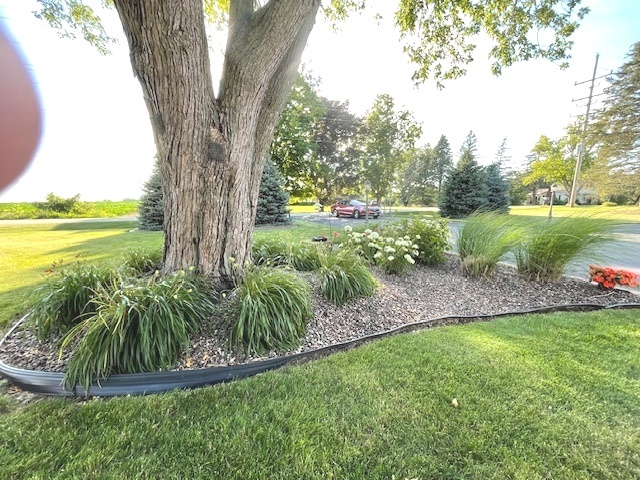 6118 Meyer Road Marengo, IL 60152 - Photo 37 of 42 a view of a garden with a tree